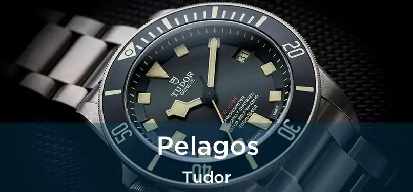 Pelagos Tudor